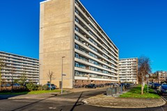 F11 0217STM Rubicondreef160.jpg